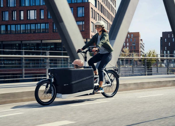 Riese & Muller Packster 70 E-Cargo Bike