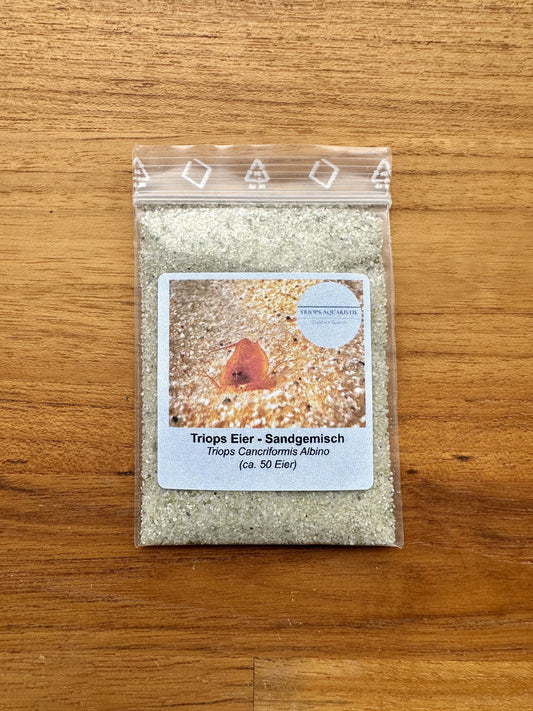 Triops Newberryi Lot de 150 œufs : : Animalerie