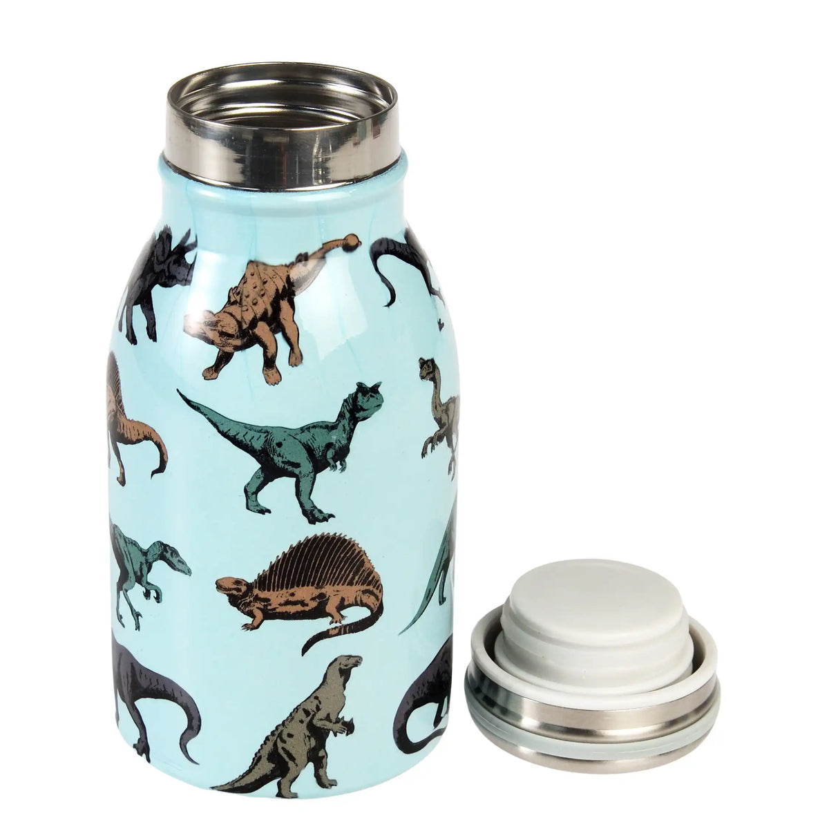 Prehistoric Land Dinosaur Stainless Steel Drinks Bottle 250ml