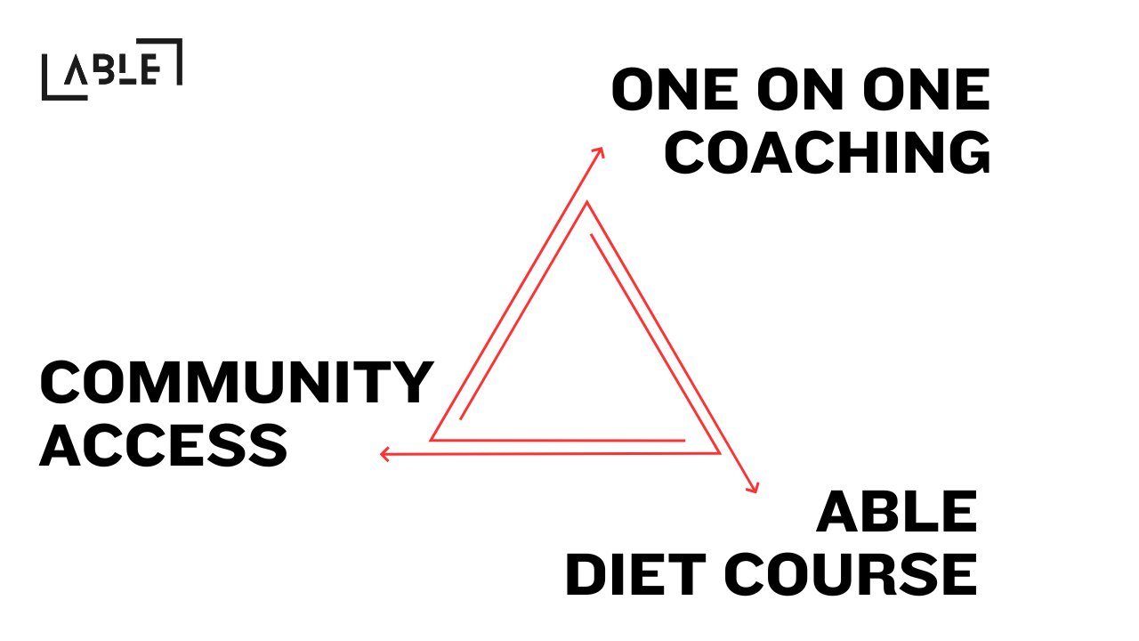 Triangle depicting 'Community Access,' 'One on One Coaching,' and 'Able Diet Course' with arrows connecting each.