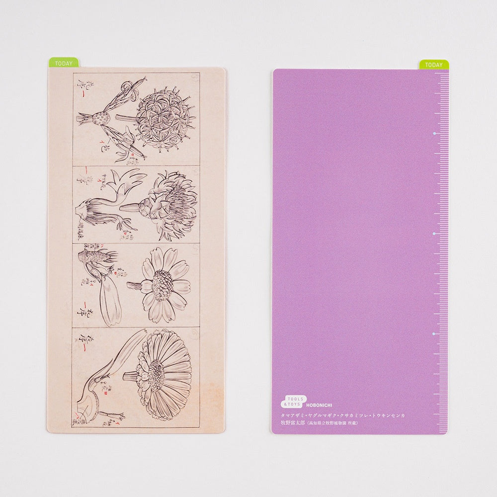 ONE PIECE magazine: Hobonichi Pencil Board (Memories) A6