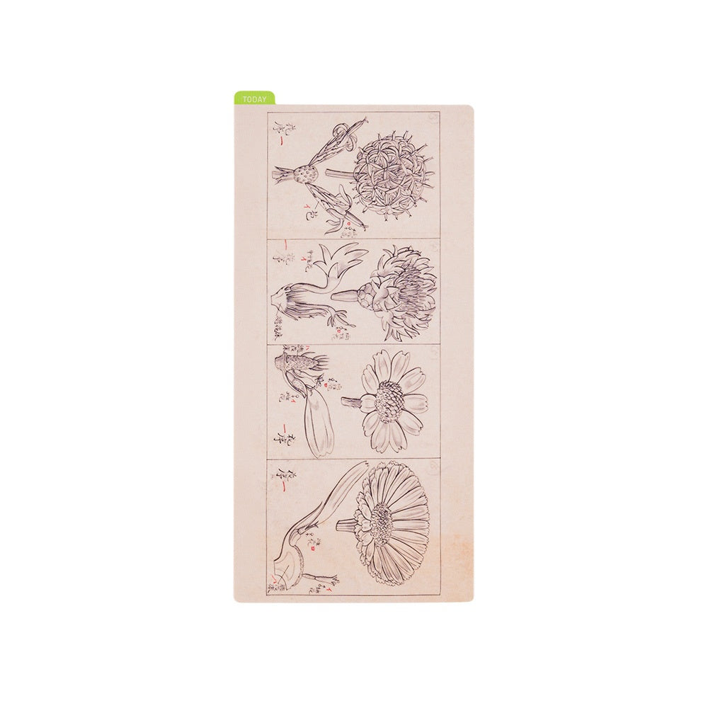 Hobonichi x ONE PIECE Pencil Board - Memories  Pencil boards, How to  memorize things, Memories