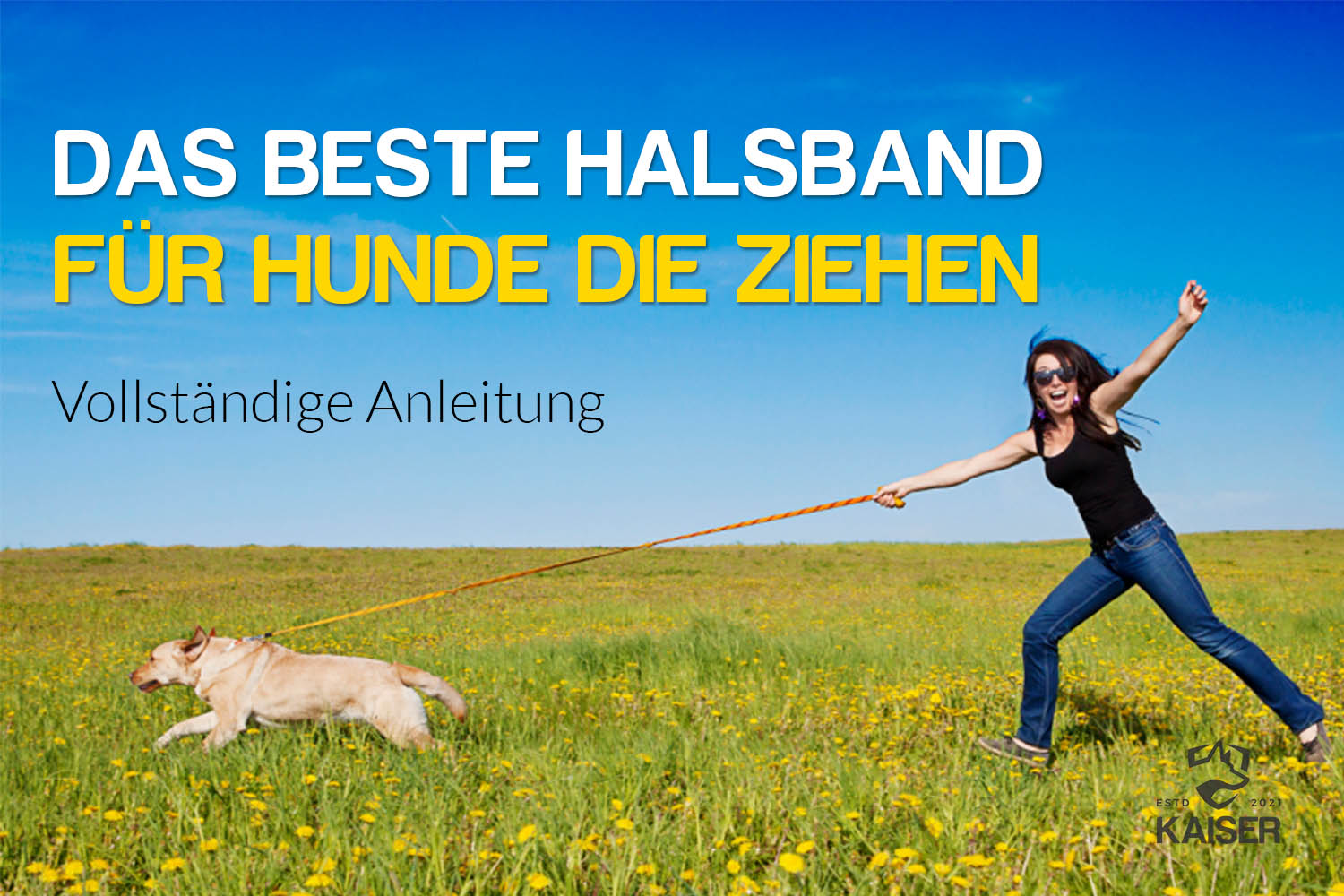 Hundehalsband für Hunde die ziehen