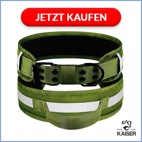 Hundehalsband breit reflektierend mit Griff