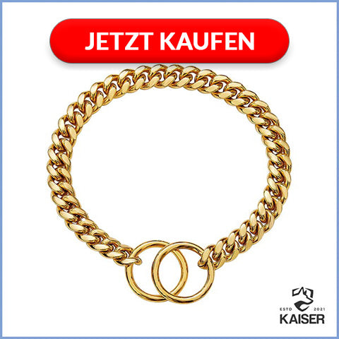 Hundehalsband Kette aus Edelstahl