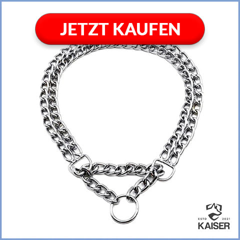 Hundehalsband Kette mit Zugstopp