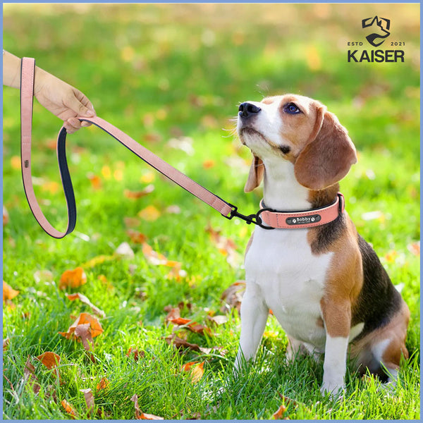 Ein Hund mit personalisiertem Hundehalsband aus Leder, das von einer Frauenhand an der Leine gehalten wird