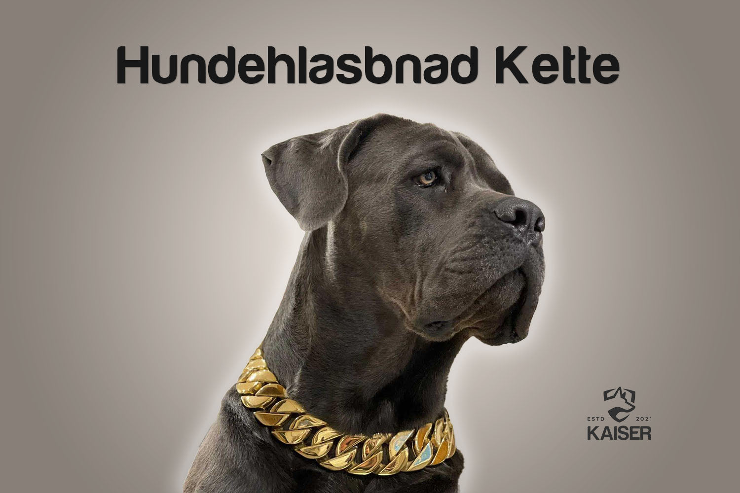 Wasserdichte AirTag-Hülle für Hundehalsband – Kaiser Hund
