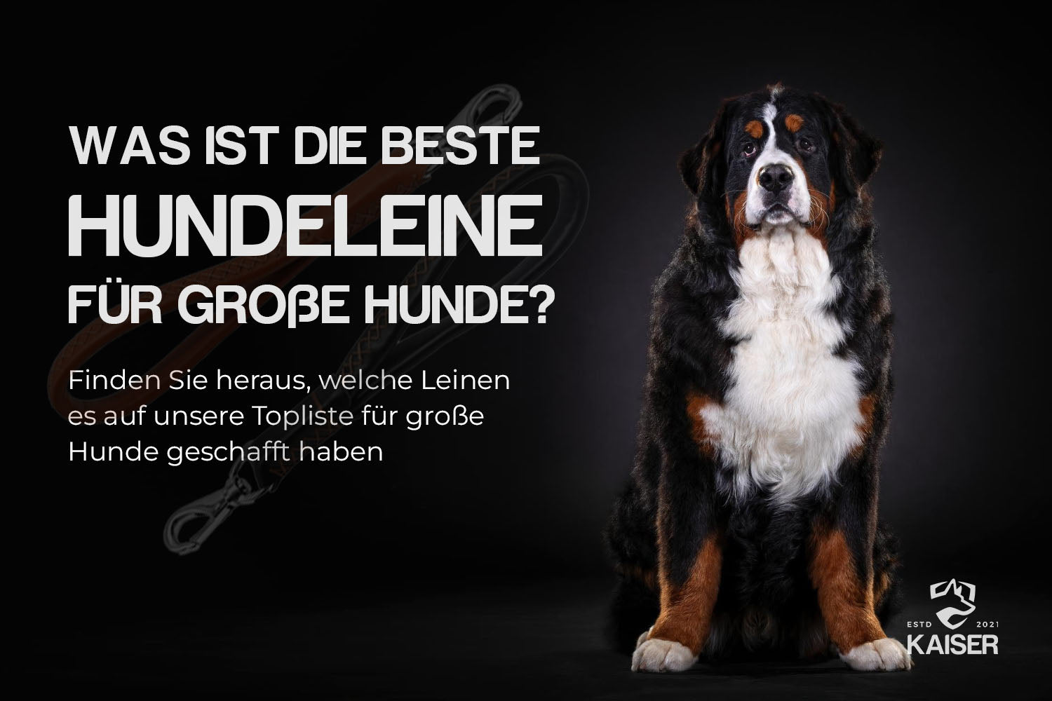 Hundeleine für große Hunde