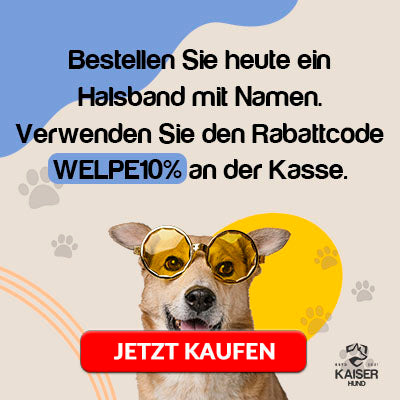 Kaiser Hund Promo Banner
