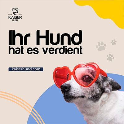 Hundehalsband Kaufen - Für Jeden Hund das Passende – Kaiser Hund