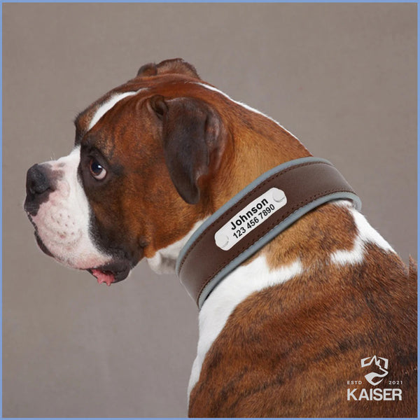 Deutscher Boxer Hund mit einen personalisierten reflektierenden Hundehalsband mit Gravur