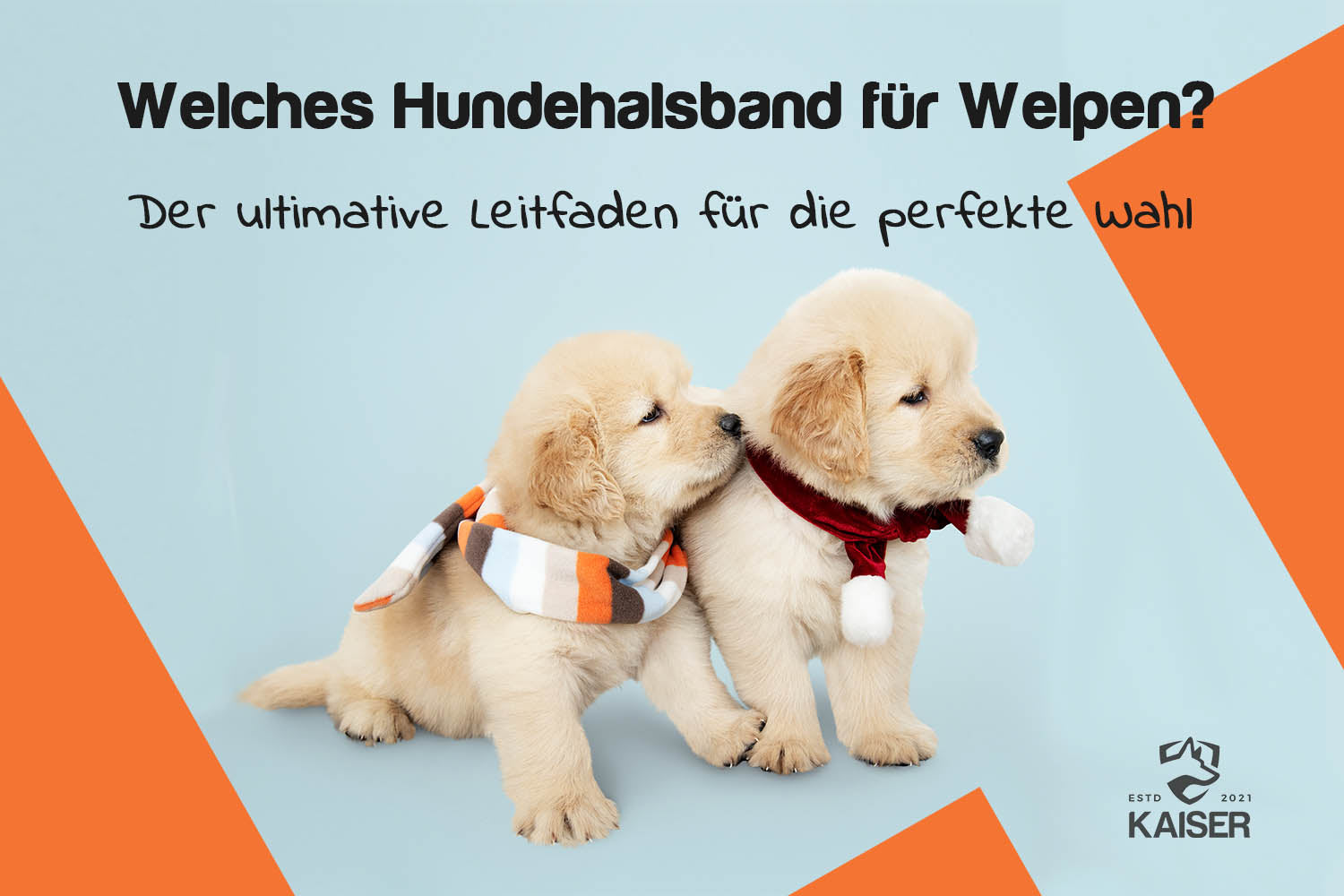 Beste Hundehalsband für Welpen