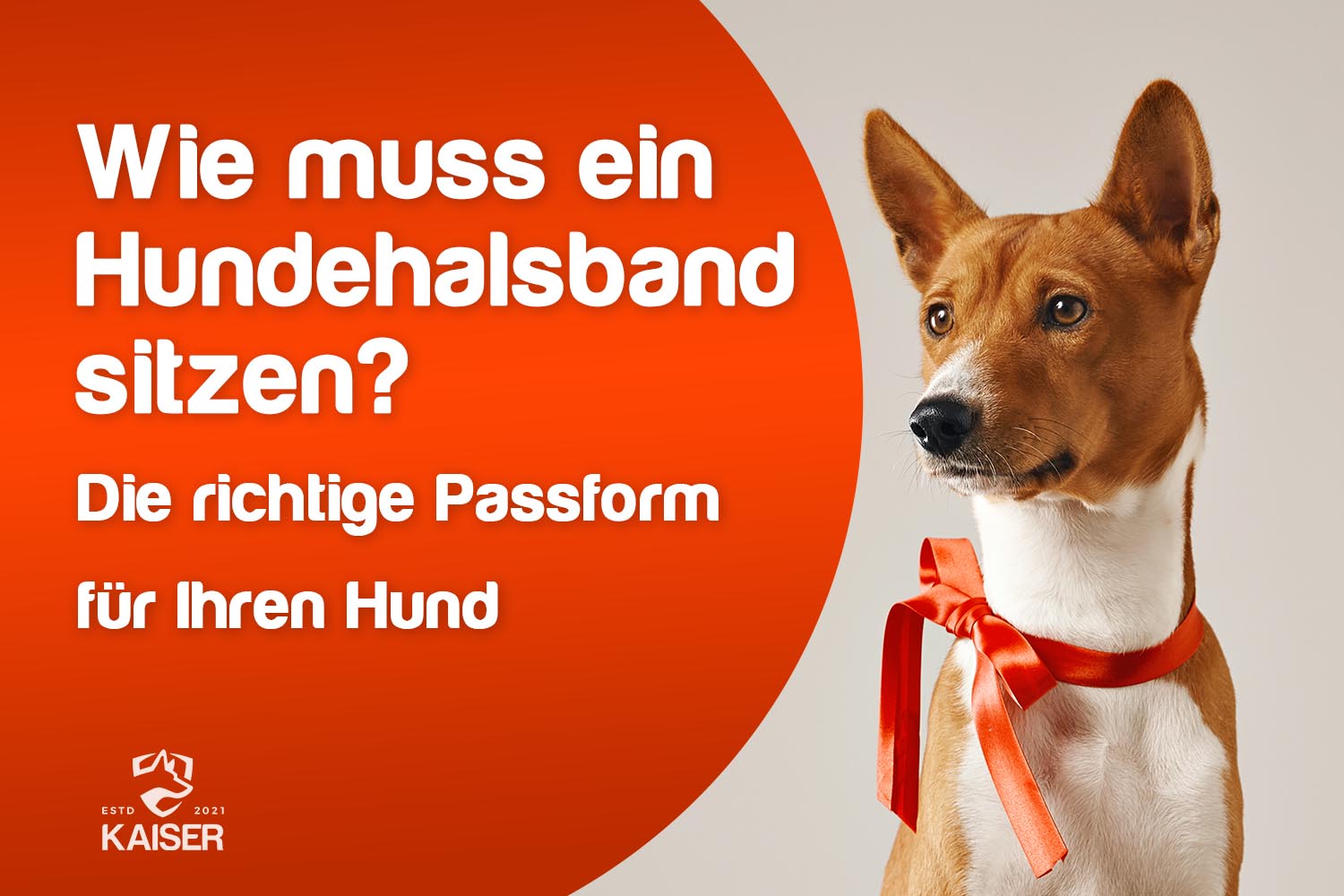 Wie muss ein Halsband für Hunde sitzen