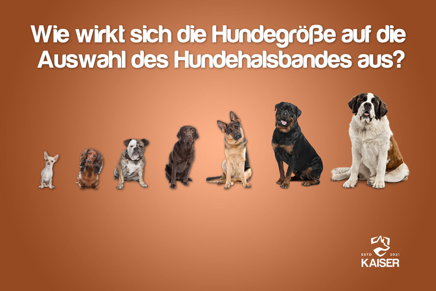 Auswahl des Hundehalsbandes für verschiedene Hundegröße