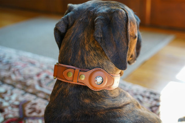 Hundehalsband für Apple Airtag