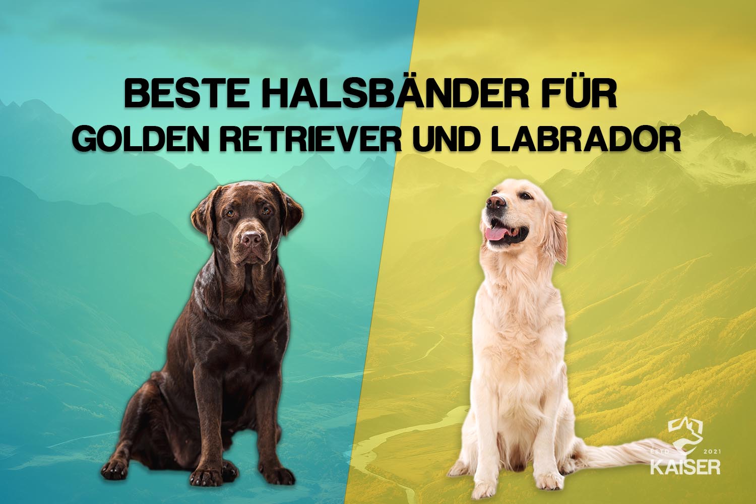 Hundehalsband Retriever