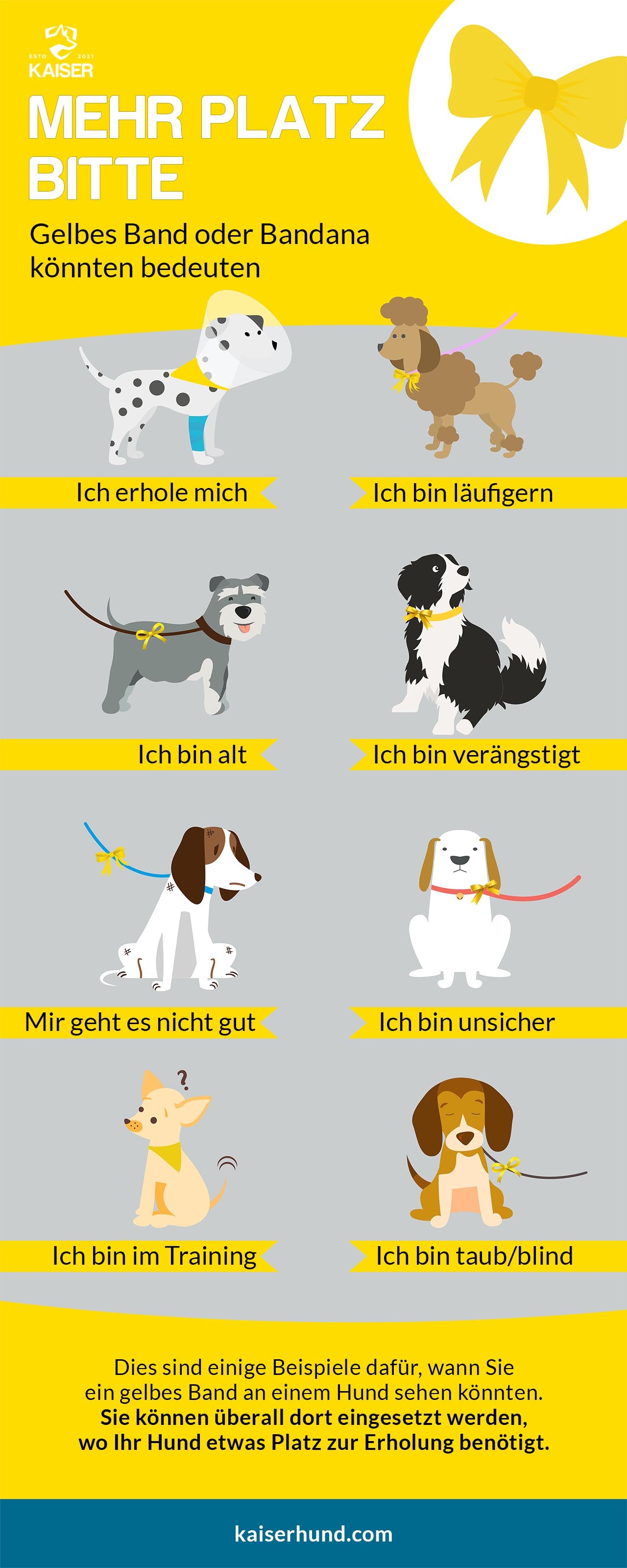 Visuelle Grafiken, die Gründe für gelbe Schleife am Hundehalsband darstellen