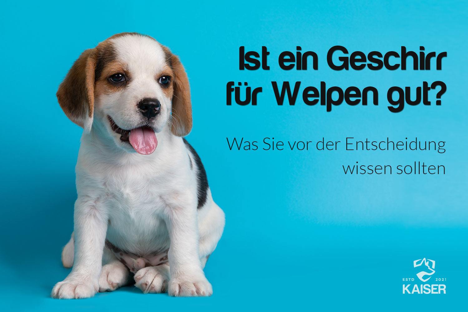 Hundegeschirr für Welpen