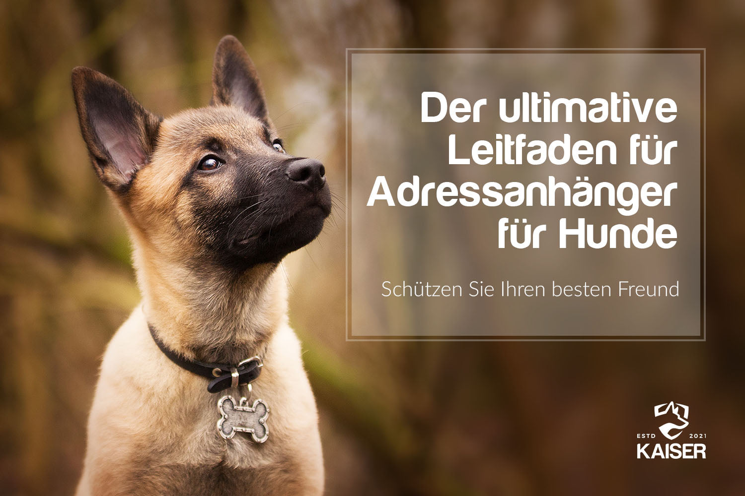 Hundehalsband Anhänger