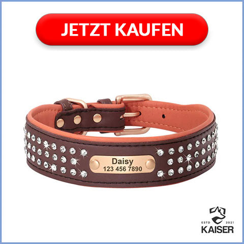 Stylish Hundehalsband mit Name Leder mit Strass