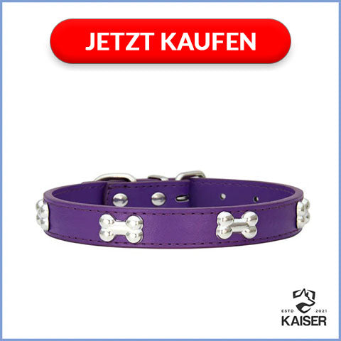 Designer Hundehalsband Knochen