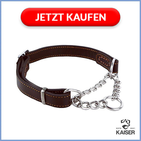 Hundehalsband mit Zugstopp Kette (Martingale Hundehalsband)