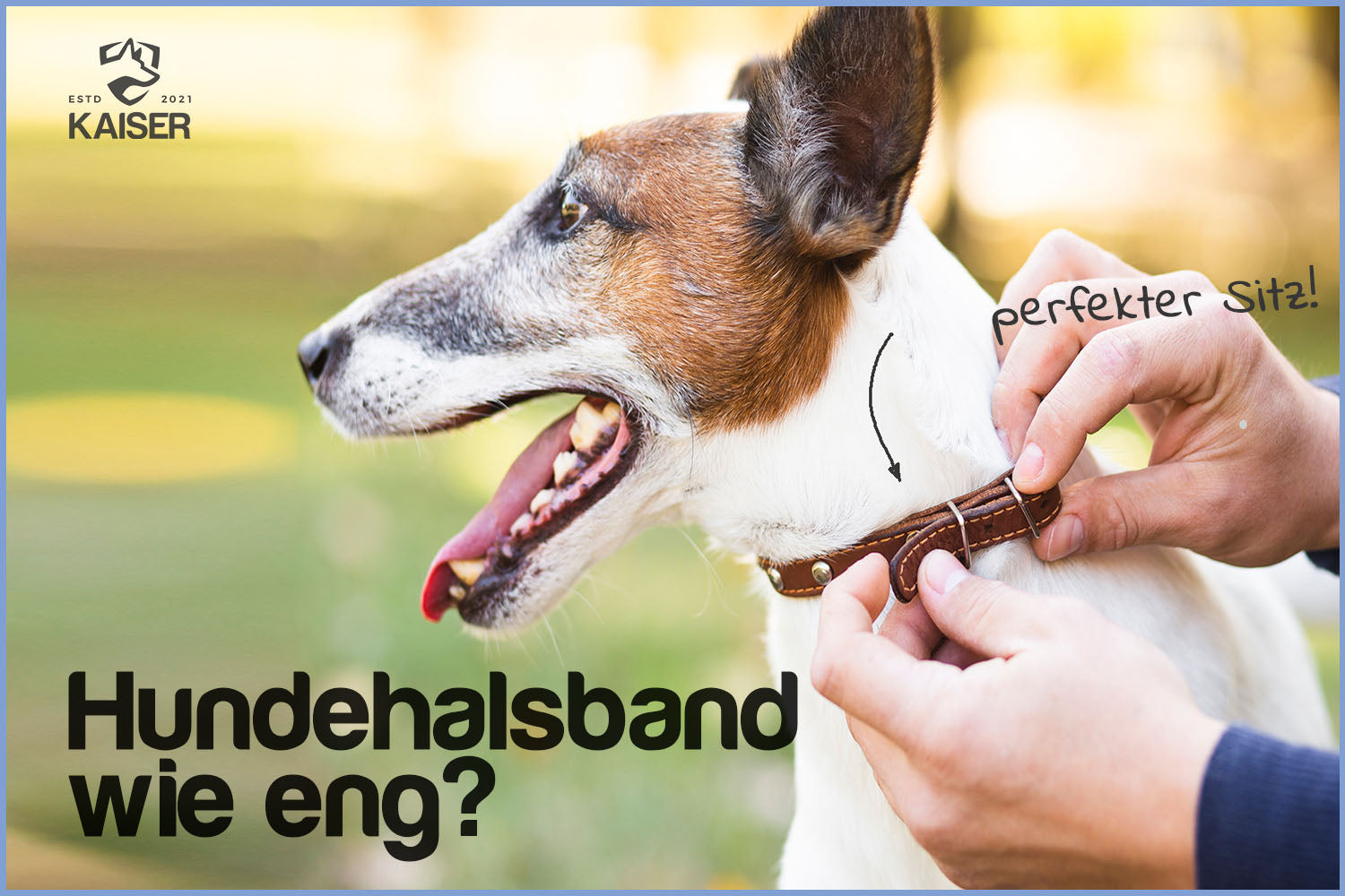 Wie eng sollte das Hundehalsband sein