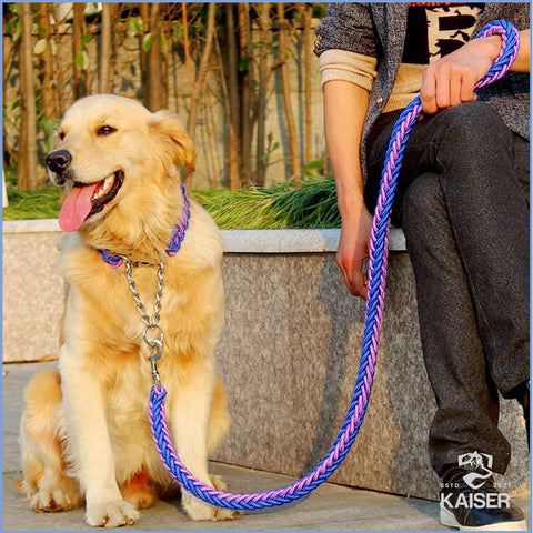 Labrador mit Paracord Hundehalsband
