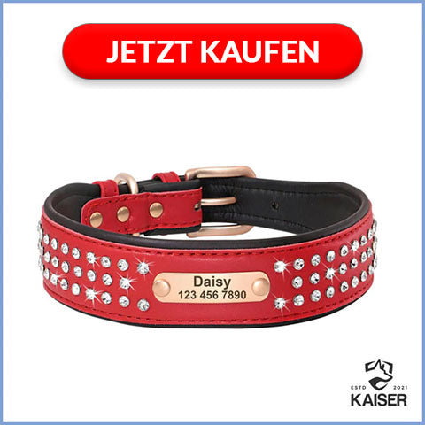 Hundehalsband gepolstert Strass mit Namen