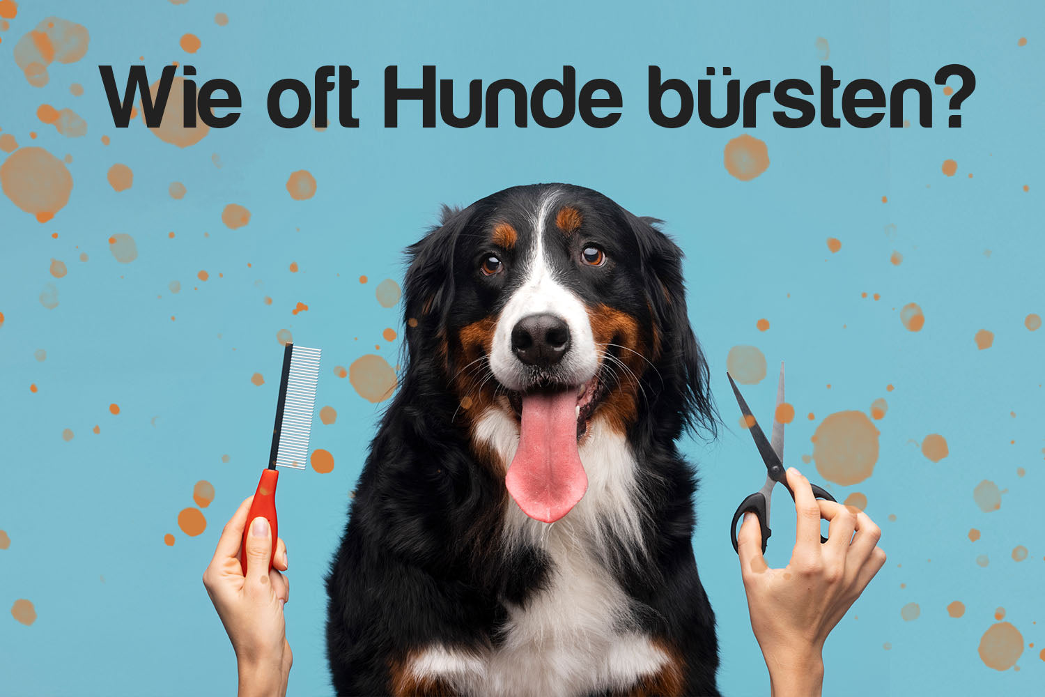 Wie oft Hunde bürsten?