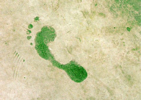 green footprint