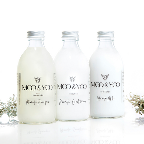 Three glass bottles of Moo and Yoo products sitting side by side. It is a Miracle Shampoo, Conditioner and a Volumising Spray Mist. All have aluminium lids.  They are on a white background with a sprig of Icelandic moss placed to each side.