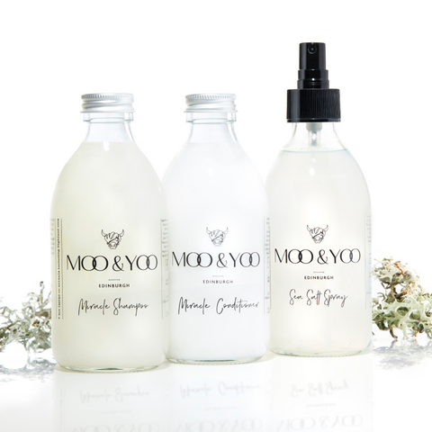 Three glass bottles of Moo and Yoo products sitting side by side. It is a Miracle Shampoo, Conditioner and a Sea Salt Spray. The shampoo and conditioner have an aluminium lid and the salt spray has a spray lid.  They are on a white background with a sprig of Icelandic moss placed to each side.