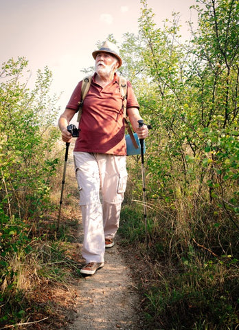 Senior man trail hiking with walking sticks, good shoes and good posture in a mountain forest