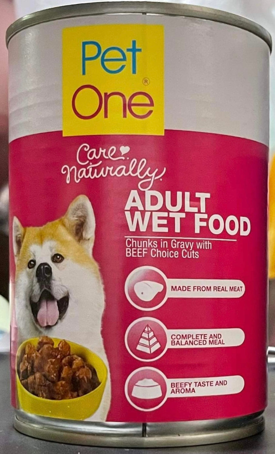 when can you feed a puppy wet food