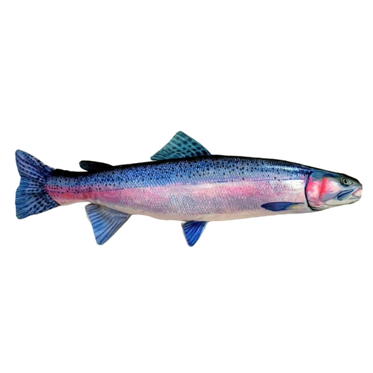 Bluegill – FishTargets