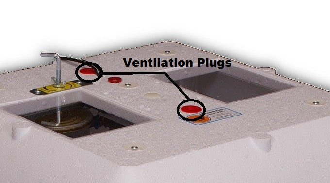 Ventilation Plugs on Top of Incubator