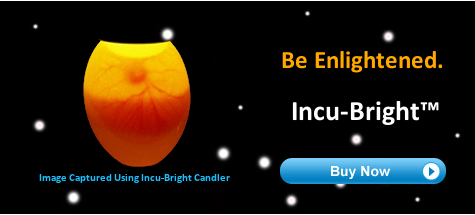 Incu-Bright™ Egg Candler Image