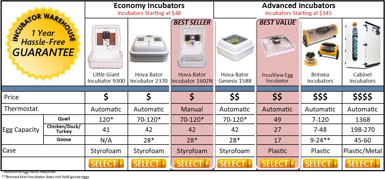Incubator Comparison Table