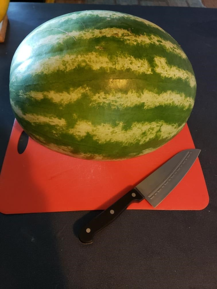 Uncut Watermelon