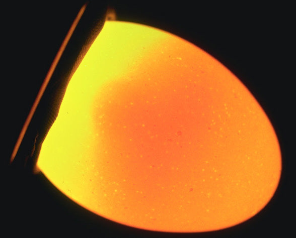 Unfertilized Egg as Visible During Candling