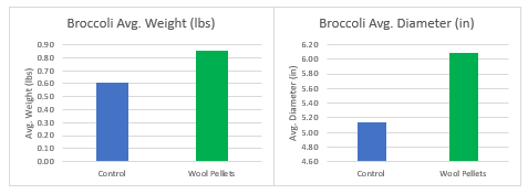 wool pellet trial with broccoli