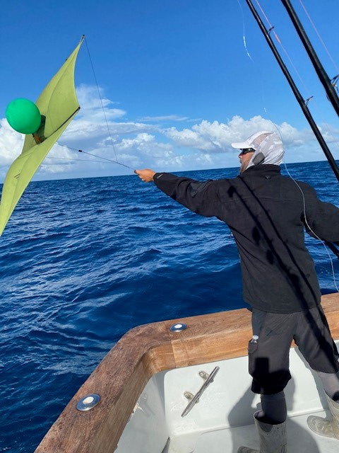 Proper Kite line and Clip Placement when Fishing 