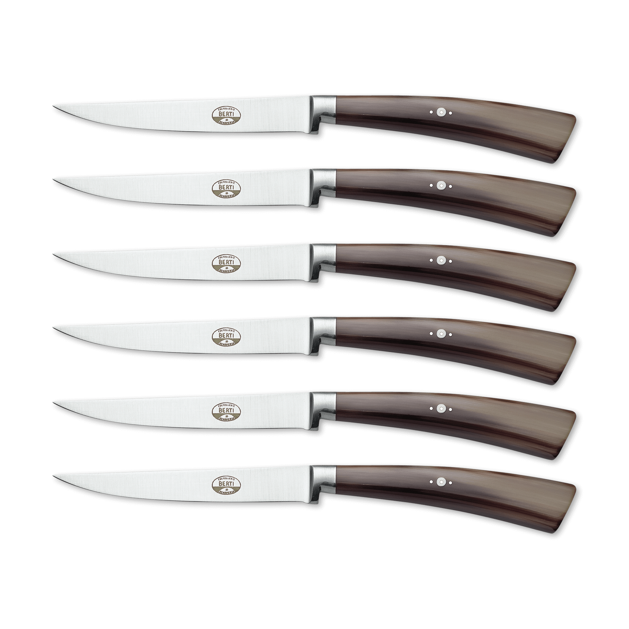 Berti - COMPENDIO 6-piece set with coloured handle - table knives