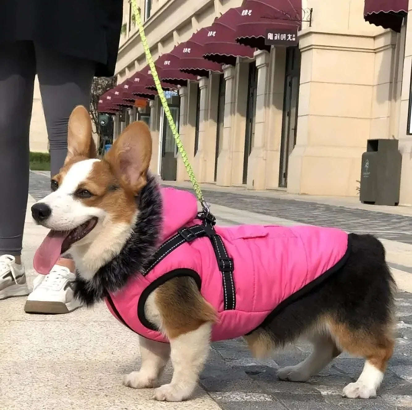 Fur Collar Winter Dog Vest - Image 3