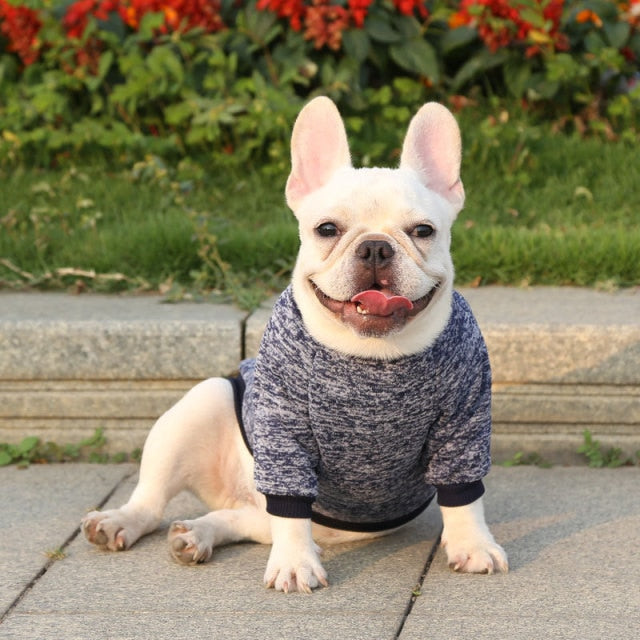Classic Warm Dog Sweater - Image 3