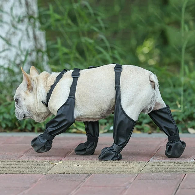 Reinforced Anti-Slip Dog Shoes - Image 4