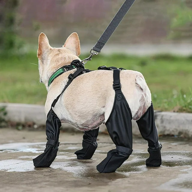 Reinforced Anti-Slip Dog Shoes - Image 3