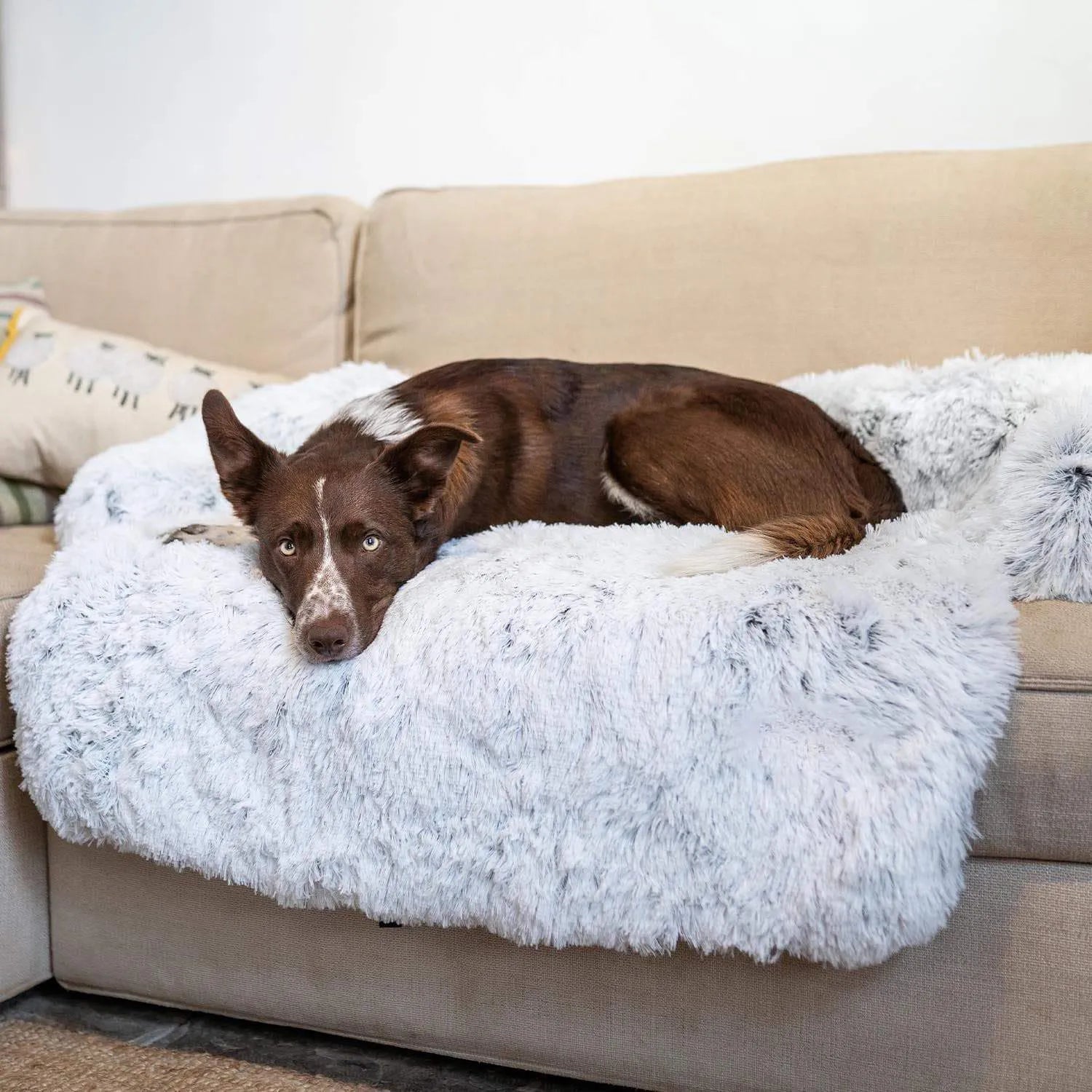 Dog Sofa Bed - Image 3